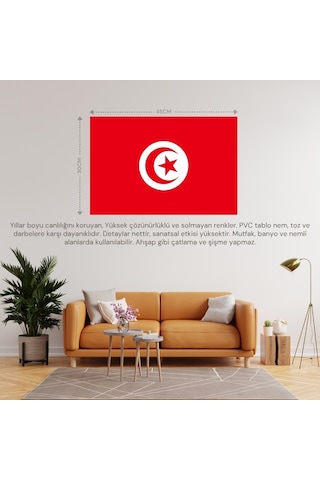 Tunus Ülke Bayrağı 45x30cm Duvar Tablosu Çerçevesiz Pvc Tablo