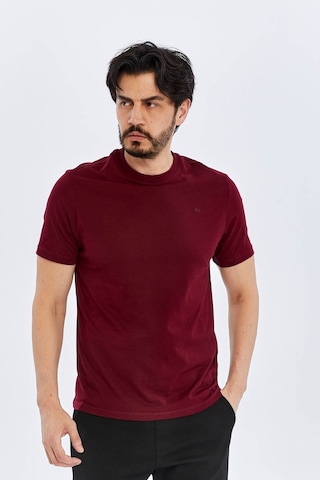 Süvari O Yaka Regular Bordo Erkek T-shirt Ts1014000475