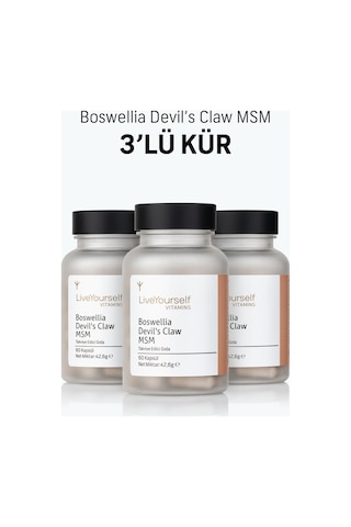 Boswellia Devil's Claw Msm 3 Lü Kür