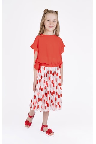 Bestkids Kız Çocuk Desenli Pileli Etek 001