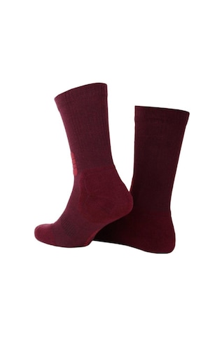 Thermoform Active Çorap Unisex Bordo