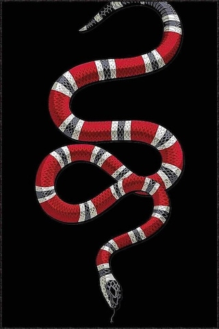 Siyah Kaymaz Taban Yıkanan Gucci Desen Mutfak Halısı Ar1168n11