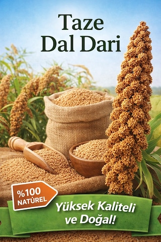 Dal Darı Tilki Kuyruğu 1 Kğ