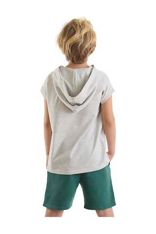 Denokids Mshb&g Animals Erkek Çocuk T-shirt Şort Takım Çok Renkli
