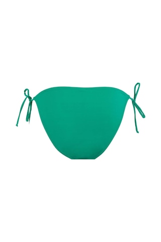 Defacto Fall in Love Regular Fit Bikini Alt T3670AZ23SPGN232 Yeşil