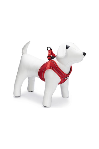 Beeztees Köpek Göğüs Tasması, Neopren, Kırmızı, M, 41-46cm Çok Renkli