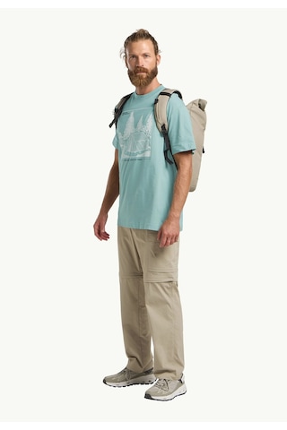 Jack Wolfskin Freeroamer Erkek Tişört Pastel Yeşil Yeşil