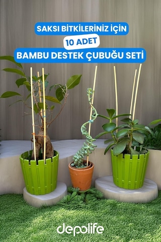 Depolife Bitki Fidan Saksı Destek Kazığı 10 Adet 30cm Bambu Destek Çubuğu Seti