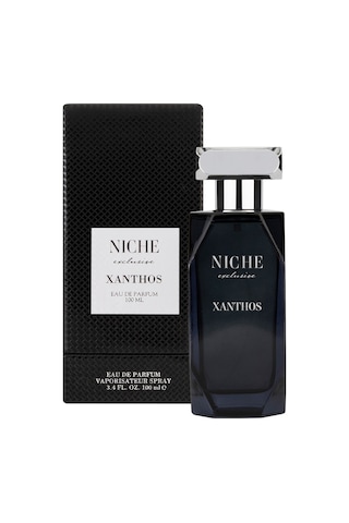 Niche Exclusive Xanthos Erkek Parfüm EDP 100 ML
