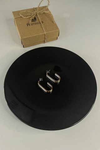 İki Renkli Gold-silver Kaplama Düz Çelik Küpe Çok Renkli