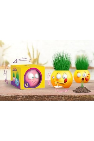 Yuup Emoji Temalı Çim Adam 6'lı Set Çocuklar İçin Eğitici Ve Eğlenceli Bitki Yetiştirme Kiti