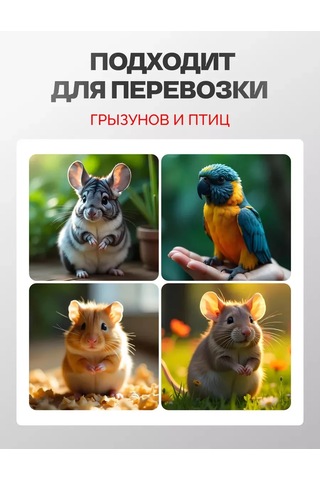 Loorı Kemirgenler Ve Kuşlar İçin Taşıyıcı Mini 25x21x16 140844943