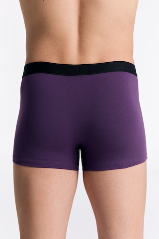 Albero Natur Gots Sertifikalı Organik Pamuk Erkek Trunk Boxer İç Çamaşırı Mor