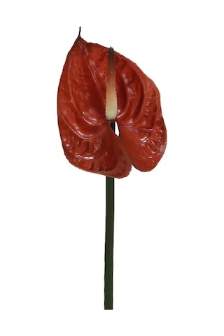 Yapay Antoryum Çiçeği Canlı Dokunuş Kahverengi 40 Cm-9976