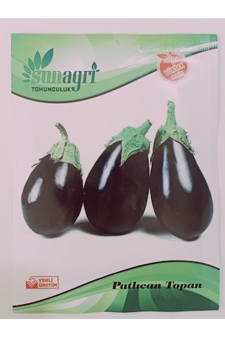 Bykurt Topan Patlıcan Tohumu - Siyah Mor Renkli, Verimli, Sofralık Ve Sanayiye Uygun Topan Patlıcan Tohumu