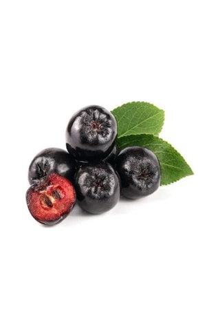 Viking Siyah Aronya Fidanı Aronia Chokeberry