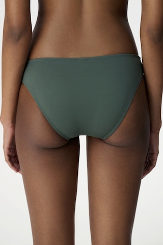 Penti Yeşil Slip Bikini Altı