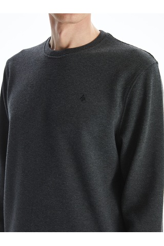 Lcwaıkıkı Classic Antrasit Bisiklet Yaka Uzun Kollu Baskılı Erkek Sweatshirt