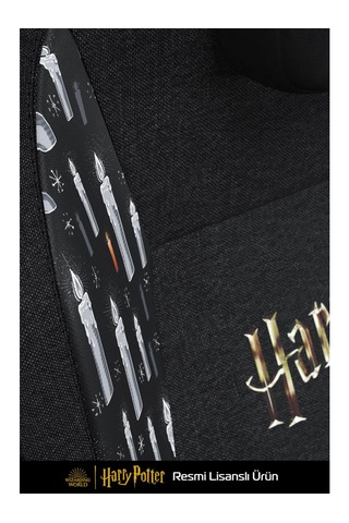 Exvega Andromeda 2025 Harry Potter Hogwarts Crest Edition Masajlı