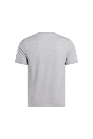 Reebok Cody Sl Crew Neck Ss Tee A Grı Mel Erkek Kısa Kol T-shirt 000000000102247818 Gri
