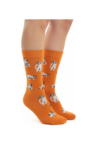 Gost Liria Silver Cat Socks Desenli Unisex Soket Çorap Turuncu