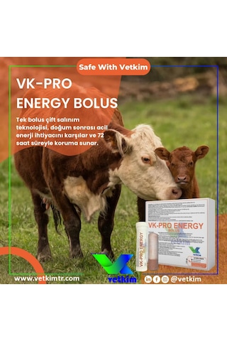 Vk-pro Energy Bolus - 48 Adet 135 Gr Yutturma Aparatı Hediyeli