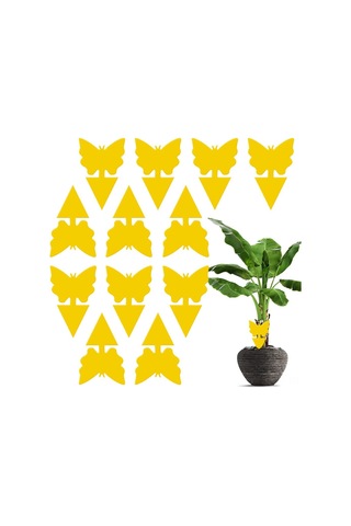 Ruicoo 12'li Paket Yapışkan Meyve Sineği Tuzağı - Ev Ve Bahçe Bitkileri İçin Çift Taraflı Böcek Yakalama