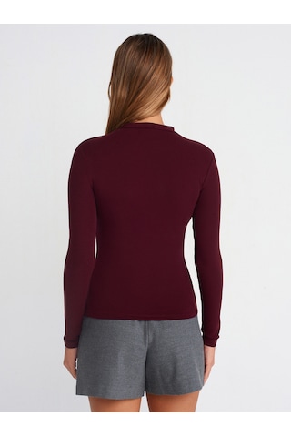 Dilvin 31433 Yarım Balıkçı Yaka Top-bordo Bordo