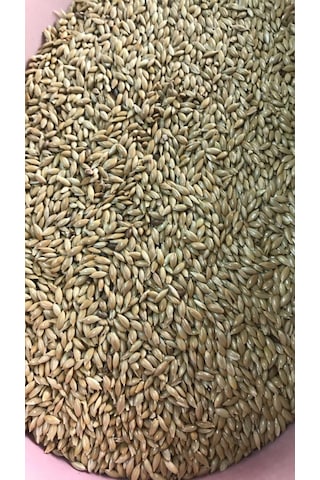 Kanarya Yemi 5 KG ( Sade )