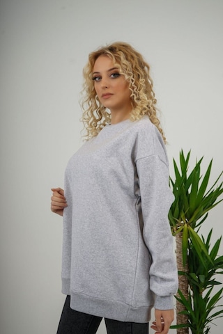 Kadın Gri Bisiklet Yaka Sweatshırt Gri