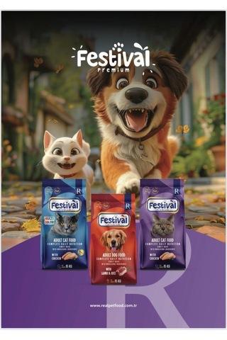 Festival Premium Adult Cat Food Gourmet Chicken Kedi Maması 15 Kg