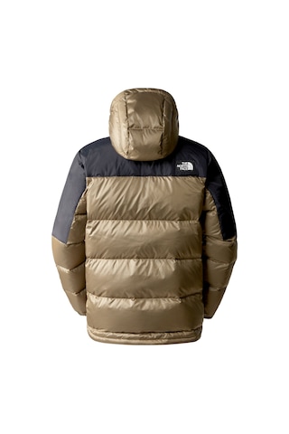 The North Face Dıablo K.tüyü Down Erkek Mont Nf0a7zfqkom1 Kahverengi