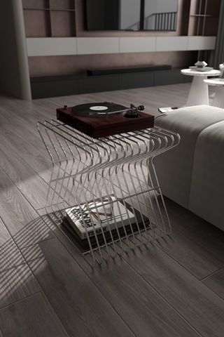 Roma Modern Metal Yan Sehpa Derilik Minimalist Tasarım Kitaplık Pikap Plak Çalar Düzenleyici Gümüş
