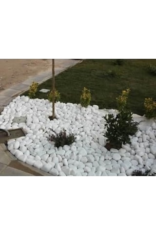 Payam44 Beyaz Dolomit Taş 20 Kg 2,5-4 Cm Dekoratif Taş Bahçe Süs Taşı