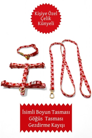 İsimli Kedi Tasması, Kedi Tasma Seti, Kedi Göğüs Tasması Clk