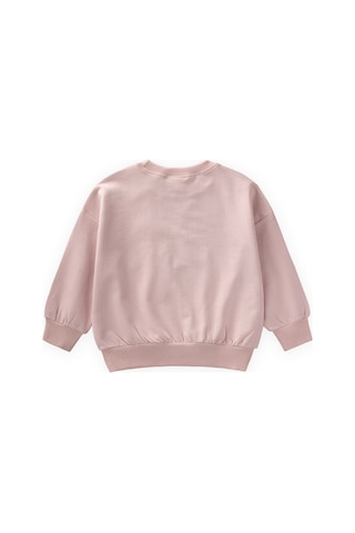 Cigit İnce Mevsimlik Sweatshirt 1-7 Yaş Pudra Pembe