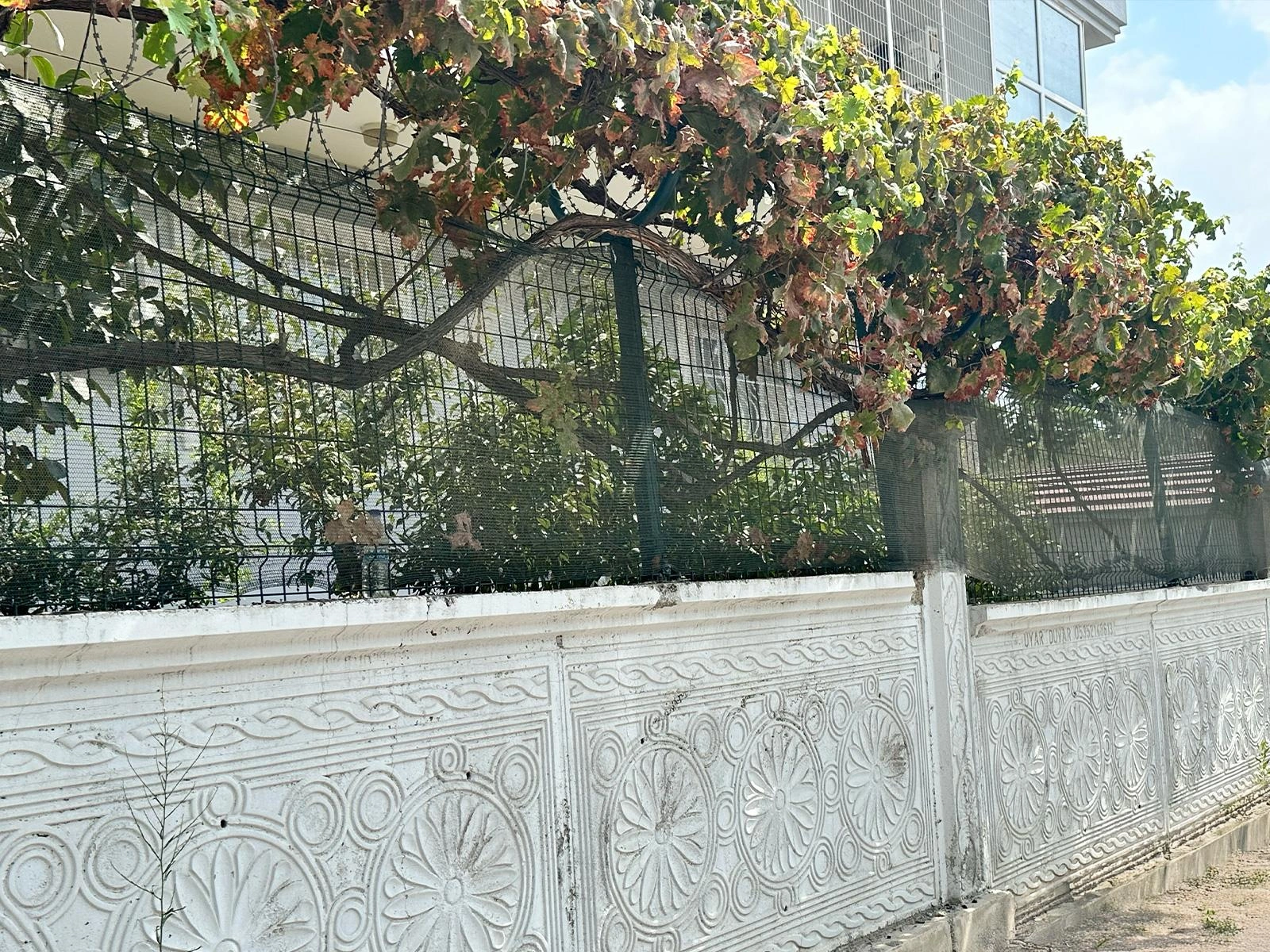 Bahçe Çit Filesi - 40lık - Yeşil - Şeritli Halkalı