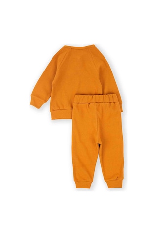 Cigit Reglan Kol Patlı Erkek Basıc Takım 1-5 Yaş Oranj Oranj