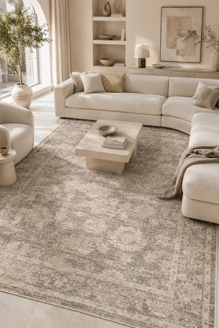 Sahra Collection Modern Vintage Desenli Eskitme Dokuma Yumuşak Salon Halısı Gri - Bej