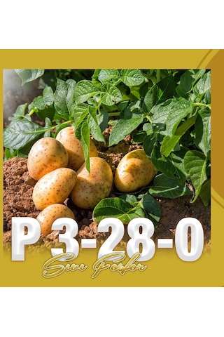 Naturwin P 3-28-0 Sıvı Fosfor Gübre 5 Litre