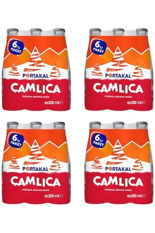 Çamlıca Portakal Aromalı Gazoz 200 Ml X 24 Adet