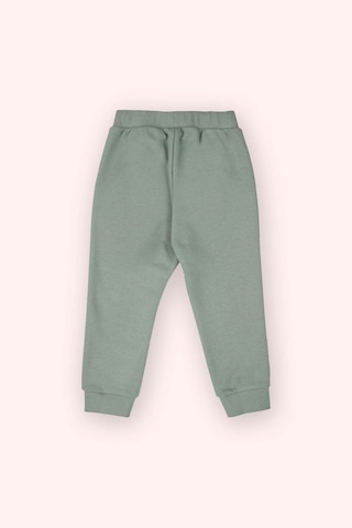 Panço Yeşil Erkek Çocuk Eşofman Altı 2511bb01003 Yeşil