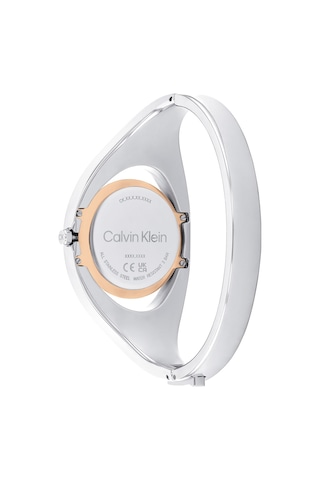 Calvin Klein Ck25200393 Kadın Kol Saati