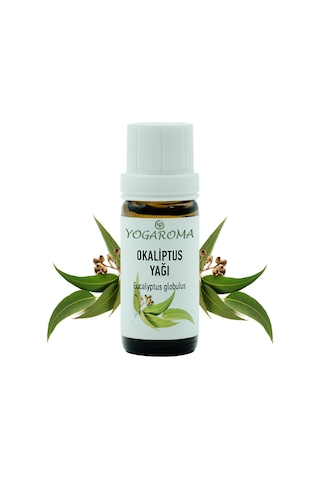 Npo Yogaroma Ferahlatıcı Aromaterapi 10ml Saf Ve Doğal Okaliptus Uçucu Yağ 10 ML