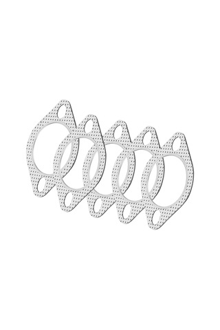 Konesam 5 Adet 2.5 İnç Galvanizli Akışkan Toplayıcı Flanş Yamağı, 2 Çivili, Grafit Kaplı, Anti-koroz, Araçlar İçin Eşleşir