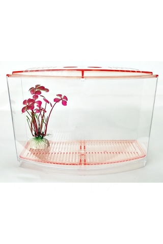 Bölmeli Izgaralı Betta Beta Kabı Tankı Akvaryum 1800 Ml - 19x8x13 Cm Pembe
