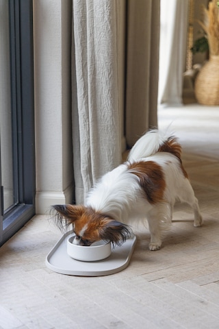 Beeztees Dbl Köpek Mama Su Kabı, Bambu, Bej, 14cm, 410ml