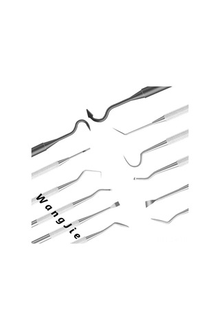 Singree "çok Amaçlı Profesyonel Temizlik Seti - Paslanmaz Çelik Ve Nylon Fırçalar Dahil"