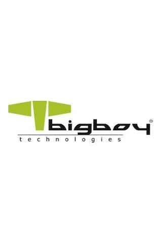 Bigboy BSSDMS1T 1 TB 550/500 MB/S mSATA SATA 3 Notebook SSD