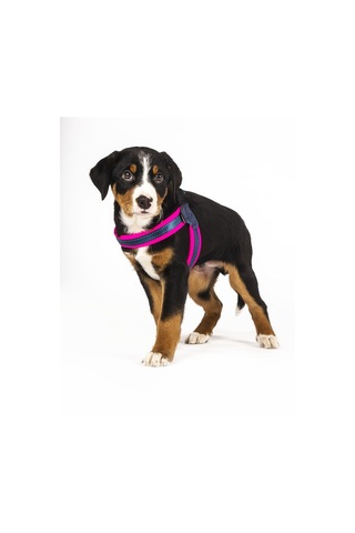 Max & Molly Q-Fit Matrix Pink Göğüs Tasması Pembe XXS Pembe